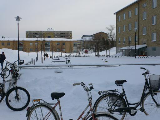 Skolan och elevrådet Rektorer och elevråd Kungsfågel och skola tar upp