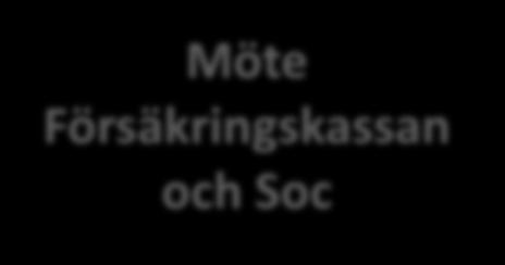 Exempel Socialtjänsten och TRIS Sjukskriven, ryggskada. Mår psykiskt dåligt. Ingen sjukpenninggrundande inkomst. Önskar arbeta men ser inte möjligheter p g a ohälsa TRIS-samtycke.