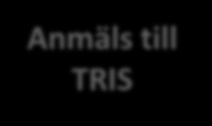 Finns medicinska hinder att delta i undervisningen trots smärta?