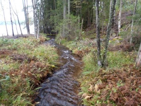 9. Sillebäcken, Taraldsön Län: 4 Västra Götaland Beskuggning: >50 % Kommun: Bengtsfors Vattennivå: medel Koordinater: 6564350/289570 Vattenhastighet: strömt Provtagningsmetodik: SS-EN 3946