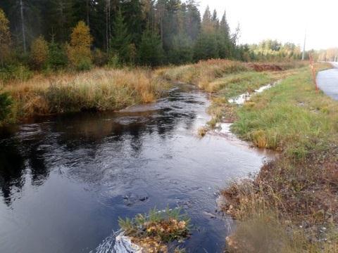 2. Bästorpsälven, Kasenmossen Län: 4 Västra Götaland Beskuggning: saknas Kommun: Dals-Ed Vattennivå: hög Koordinater: 6537260/264270 Vattenhastighet: strömt Provtagningsmetodik: SS-EN 3946