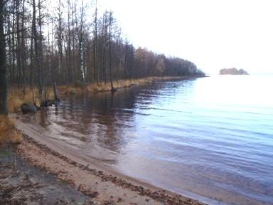 Bottenfauna i vattendrag och sjölitoral Bilaga 14 510.