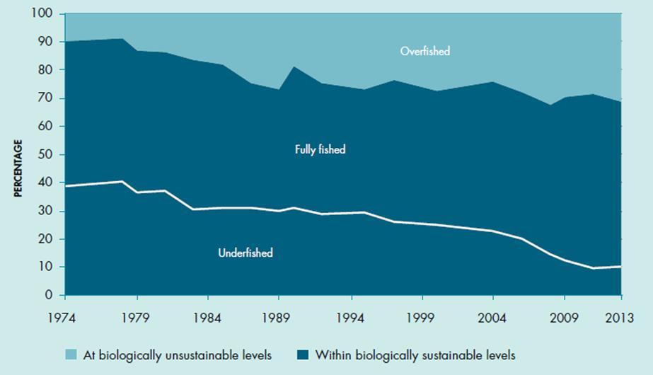 Are we overfishing- or not?