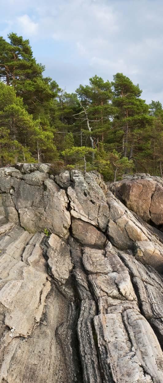 Information om respektive naturreservat finns via länsstyrelsernas webbplats lansstyrelsen.se. Gränsmarkeringar för naturskyddade områden visas här på kartan oavsett vilken form av skydd som gäller.