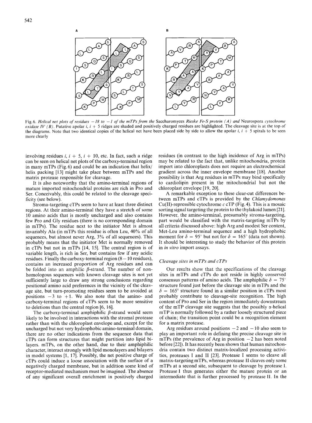 542 A B Fig.6. Helical net plots of residues - 18 to - 1 of the mtps from the Saccharomyces Rieske Fe-S protein (A) and Neurospora rytochrornc. oxidase IV (B).