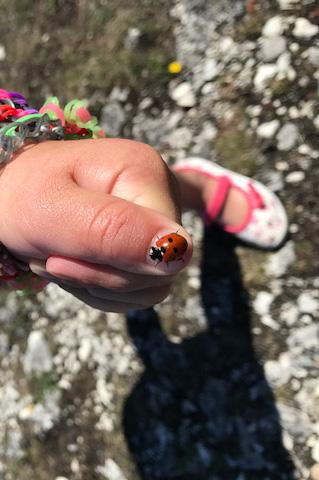 Att skapa och bevara en biologisk mångfald i staden är både för människors möjlighet att uppleva natur i vardagen samt bidra till ett väl fungerande ekosystem.