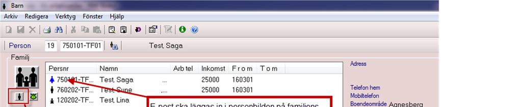 Registrering av registerledares