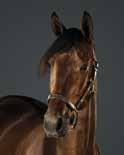 Körsvensstatistik Dagens kuskar per tisdag den 6 februari Kör i lopp Bana 2018 % tkr 2017 % Asplund Frida a 1,5 G 11 0-0-0 0 20 84 3-6-5 4 Carlsson Barbro 4 * Dahlén Rebecca a 1,3,4 S 10 2-3-0 20 114