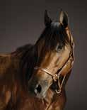 1,2,3,4,5 RÄ 25 1-4-2 4 153 447 33-28-49 7 Frick Katrin K 2 RÄ 2 0-0-0 0 3 58 2-7-4 3 Friman Malin lä 1 G 8 1-1-1 13 30 112 9-9-6 8 Hansson Mattias lä 2,5 G 8 1-0-1 13 58 55 4-5-2 7 Johansson Peter a