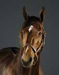H 24 7-1-0 29 467 220 55-30-22 25 Persson Per-Gunnar a 3 BS 0 0-0-0 0 0 4 2-2-0 50 Selin Daniel lä 1 BS 16 0-0-0 0 30 203 14-20-11 7 Sjöström Claes 1,4,5 S 56 5-10-2 9 792 761 104-78-62 14 Stolt