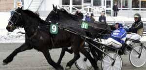 HÄNT SEN SIST nyheter från gävletravet Romme 2 februari Flash Photo var en mycket fin spetsvinnare för sin tränare Rauno Pöllänen.