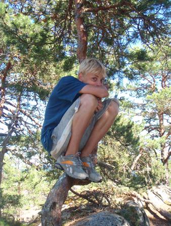 Dagens Fågel Theofink Latin: Theossus Kurius Gourmandsus Typiska Kännetecken: Har långa ben och ljus fjäderdräkt, iaktas oftast i tallskog nära
