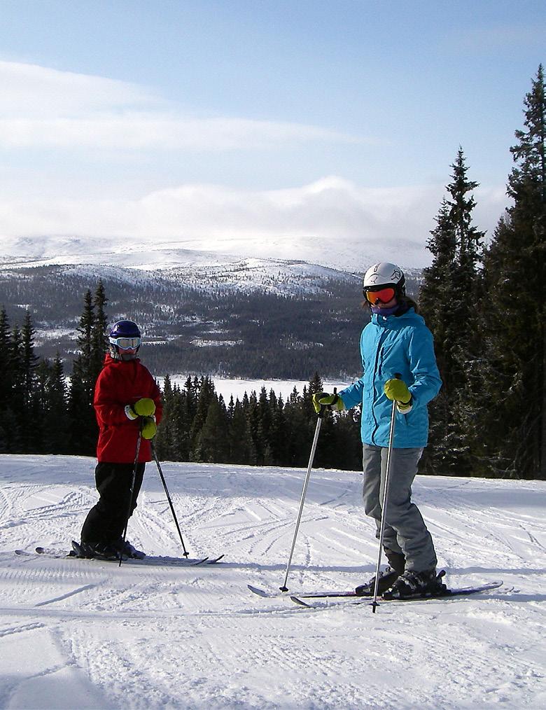 vintertid Gruppen för dig som vill träffas regelbundet under vinterhalvåret.