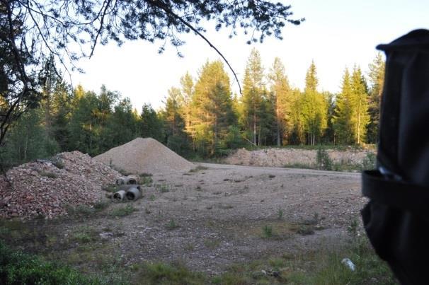 Dessa utgörs av grannaturskog, gran- och tallnaturskog, äldre blandskog (gran, tall och björk) och tallnaturskog, vilka skulle kunna utgöra bra födosöksområden för fladdermöss.