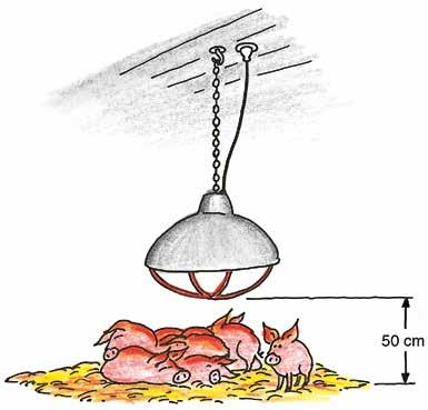 I vissa fall kan det vara motiverat att montera radiatorer med en högre grad av brandskydd än vad som krävs vid installationstillfället.