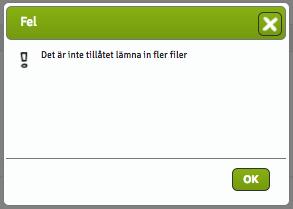 Till exempel kan det finnas krav på PDF-fil eller ett max antal filer specificerat. Om det finns några restriktioner kommer de att synas under knappen Ladda upp.