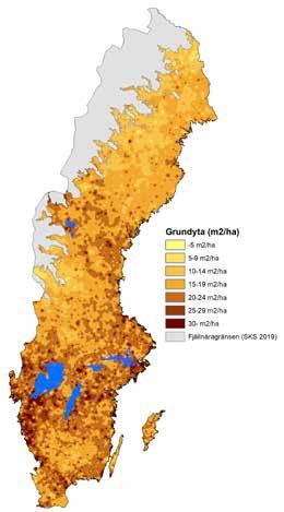 Tema: Skogens struktur ökningen har skett i N Norrland med 30 procent, från