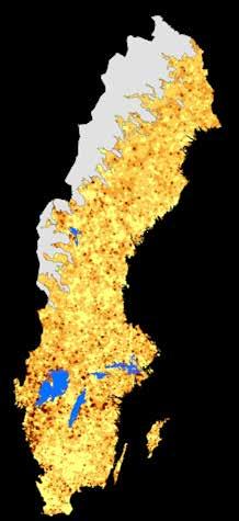 till 24,5 m 2 /ha mellan 2005 och 2015, en ökning med nästan 10 procent.