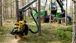 arealens fördelning på huggningsklasser, areal gammal skog och skador på skog.