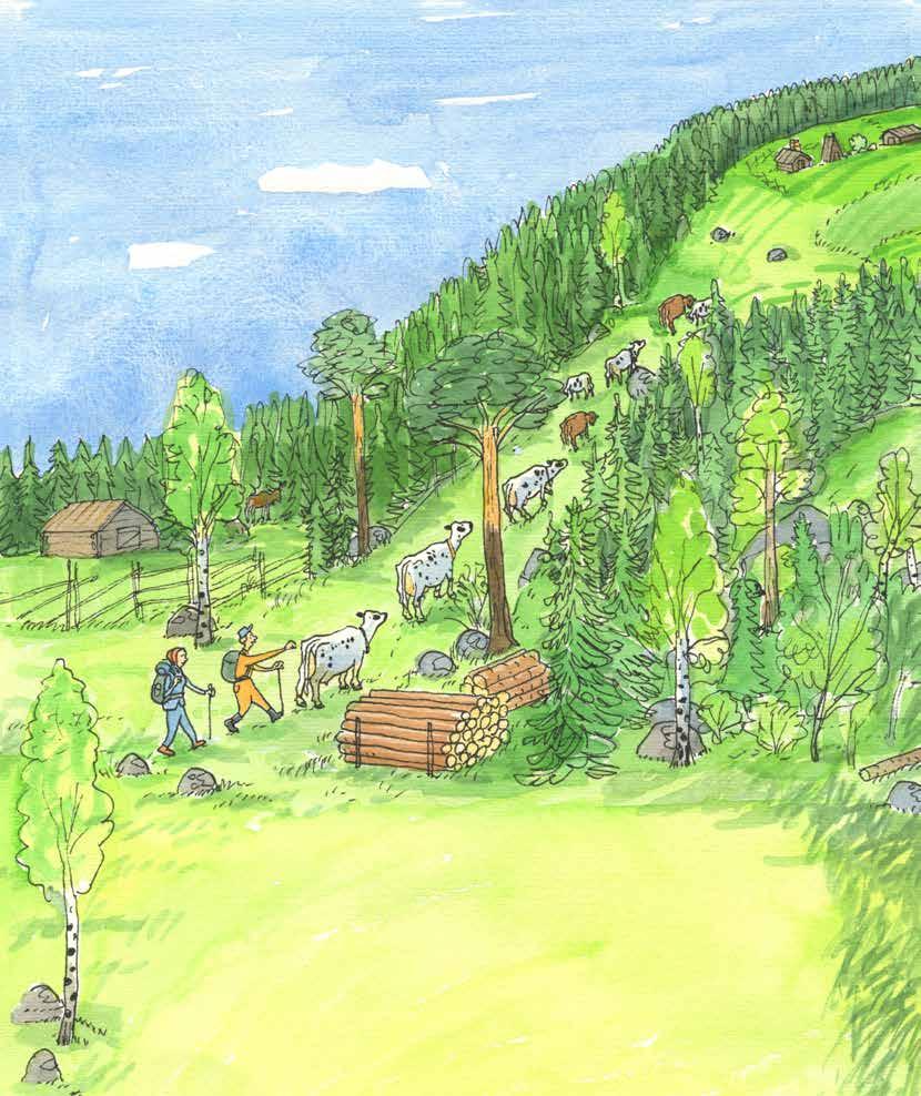 Men sen var det jobbigt att gå så långt. - Är vi inte framme snart? frågade jag. - Är vi inte framme snart? frågade Anite. - Nej, vi har bara gått halva vägen, suckade mamma.