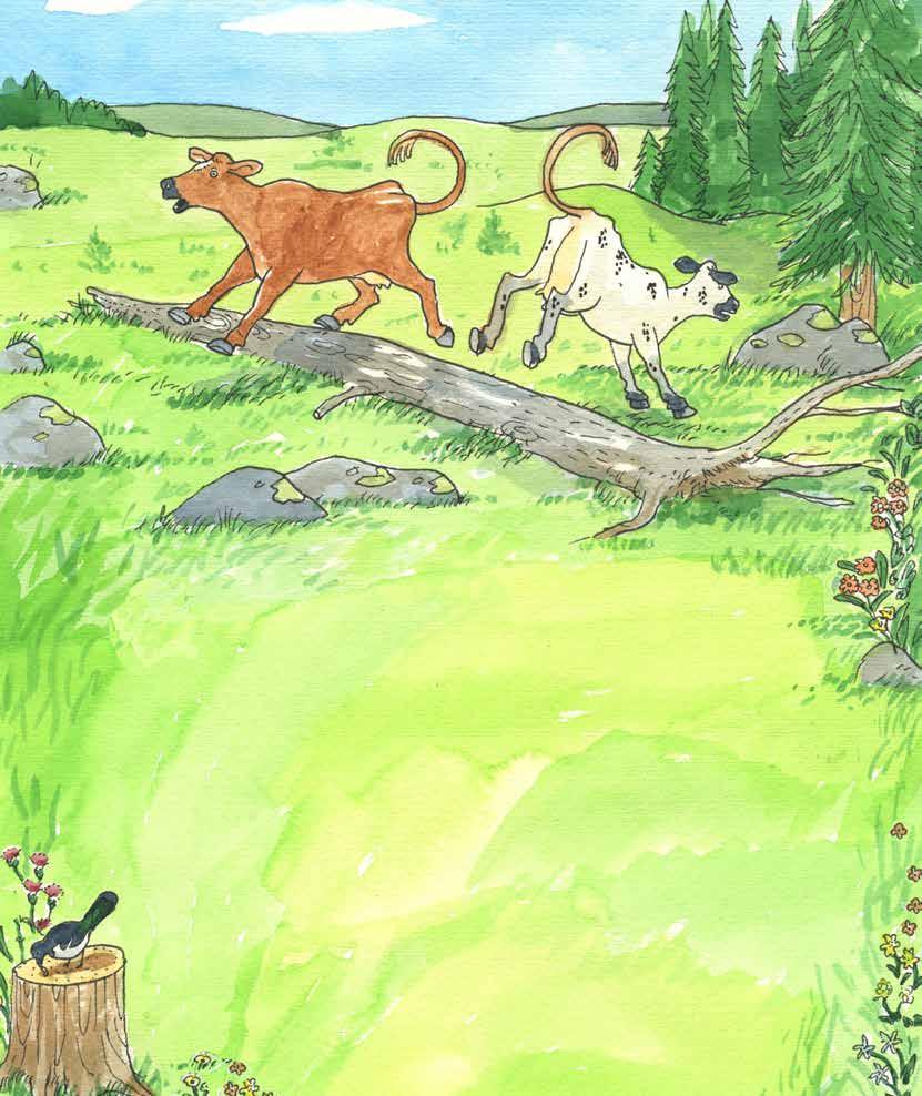 Blåbärsris är också gott. Men allra bäst är klöver. Och pellets. Fast det får man inte äta så mycket av säger min husse. Då kan man få ont i magen. Eller magarna. Vi kor har ju fyra magar.