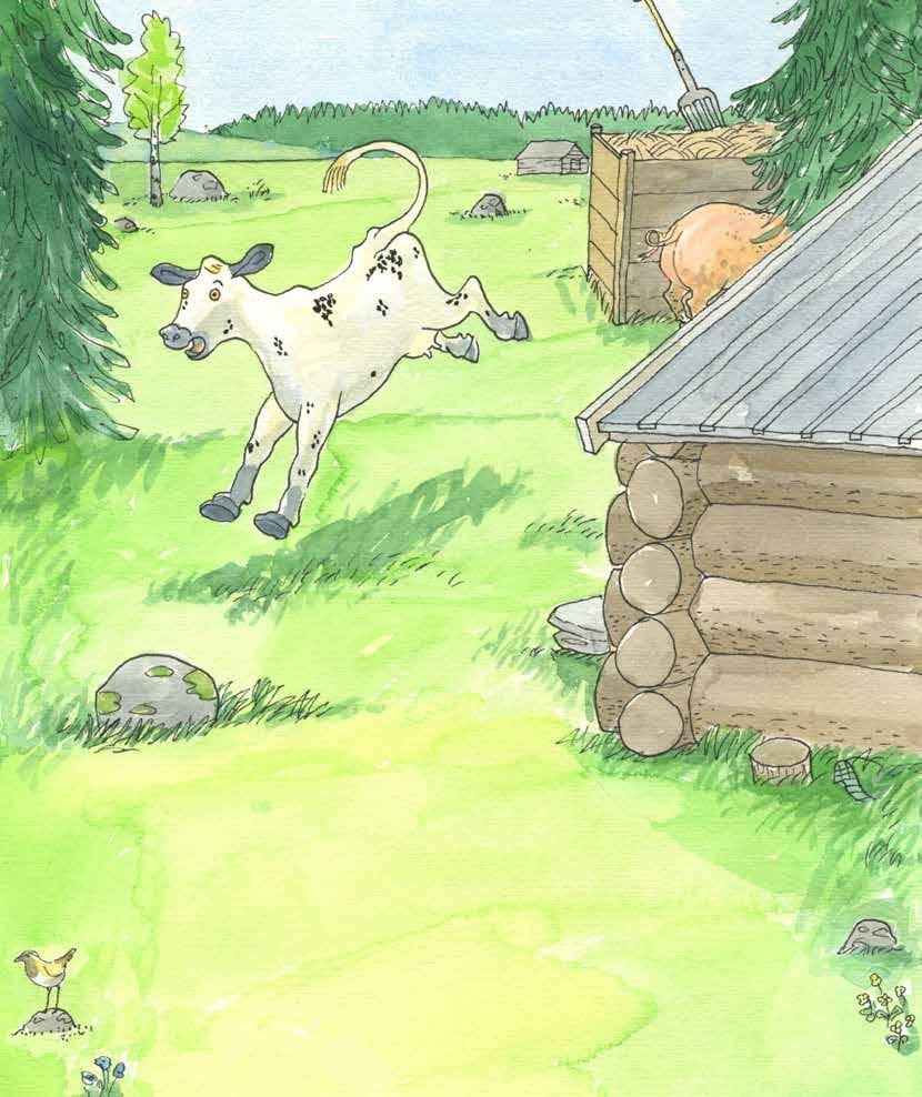 Men det var för sent. Krasch lät det och jag landade med magen mitt på gärdesgården. Aj, vad ont det gjorde. Anite och de andra kalvarna fnissade. Jag satt fast. Mamma skrattade inte.