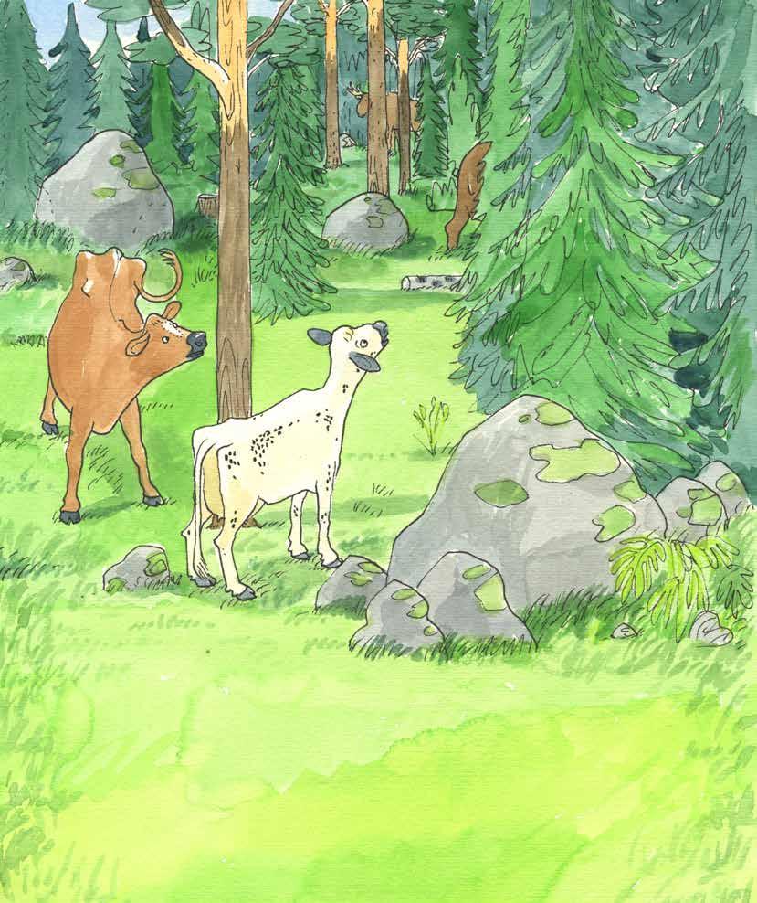Särskilt vår husse. Men hur såg egentligen en björn ut på riktigt? Jag spanade in bland träden. Men jag såg ingenting. Jo. Där! Plötsligt rörde sig det stora bruna som jag trott var en rotvälta.