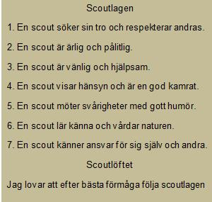 Programmet skall vara stegrande mellan avdelningarna. Tätt knutet till programmet har kåren en märkespolicy. Märkespolicyn pressenterar bl.a. vilka märken kåren har valt att jobba med på respektive avdelning och där till kopplade kunskapskrav.