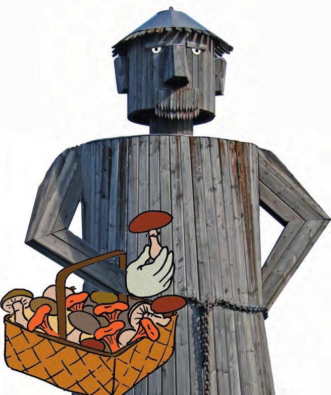 BULE AUGUSTI 2018 BLADET Bulebladet når alla hushåll i Ydre med omnejd, samt alla ydreföretag. Under juni och juli får också sommarhushållen Bulebladet.
