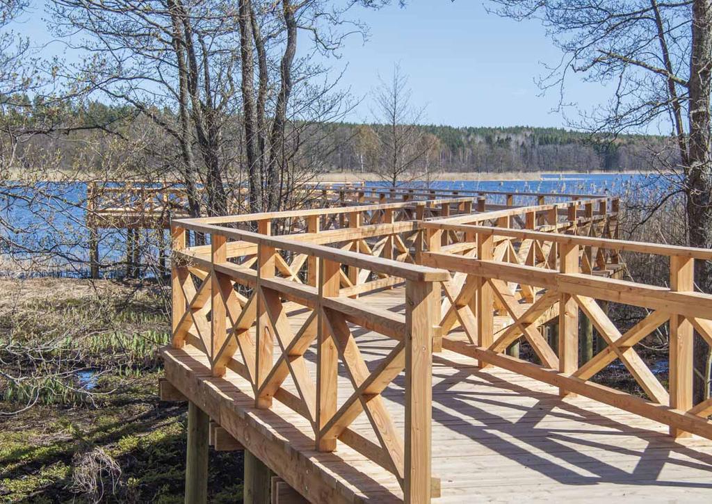 Mycket gediget byggd spång, som tar oss in i ett träsk som annars är otillgängligt.
