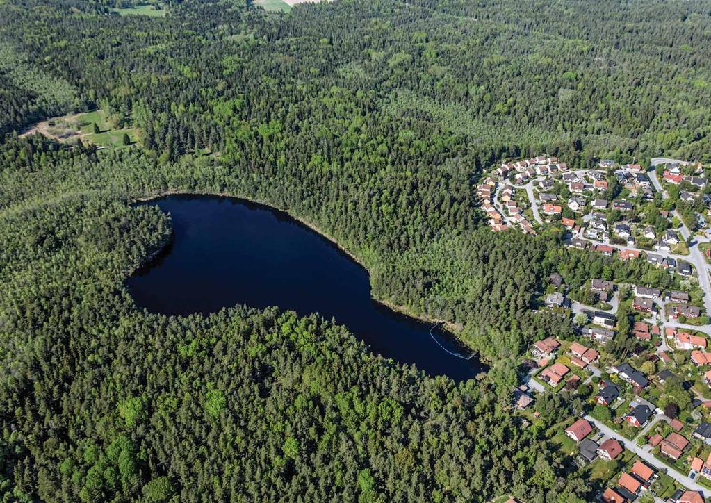 En oas för löpturer, promenader och bad! Dessutom ett rikt fågel- och växtliv. Mycket populär plats för skarpängsbor som fiskar eller bara njuter av naturen.