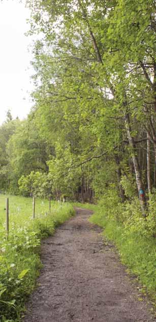 FJÄTUREN/FJÄTURSÄNGEN Vid Fjäturen och i dess omgivande spår upplevs natur och vattenkontakt.