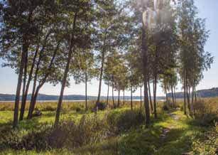 För att säkerställa utbudet på grönområden var det viktigt för deltagarna att kommunen värnar parkmarkerna och inte säljer mark. En annan viktig del i det är att kommunen slår vakt om strandskyddet.