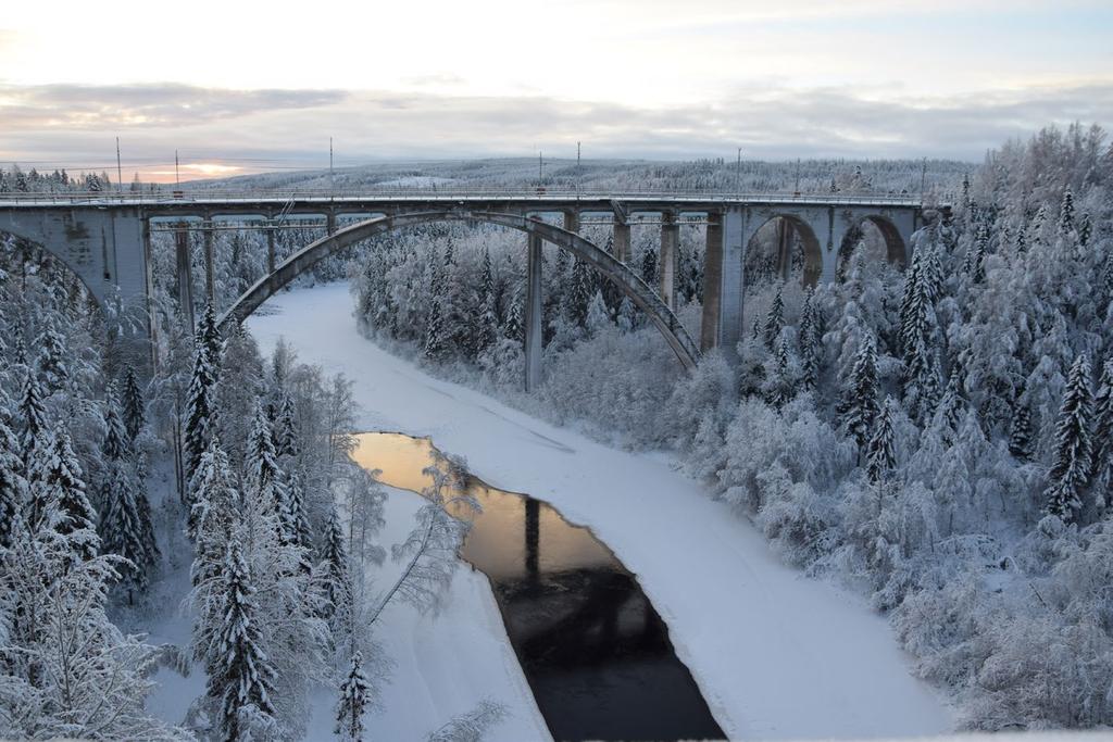 Natur- och kulturvärden I detta avsnitt redovisas de områden där särskild hänsyn ska tas till natureller kulturvärden.