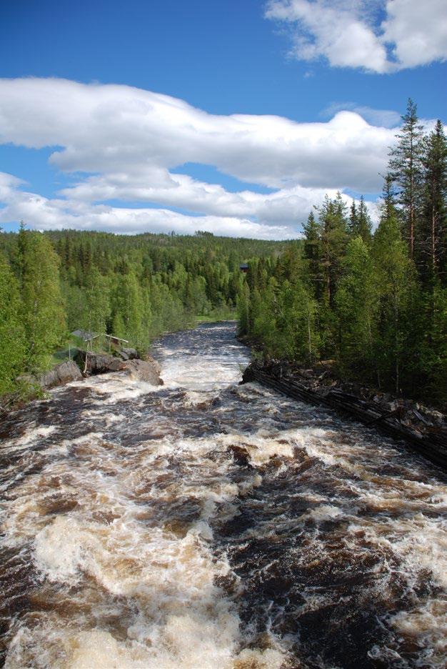 Riksintresse vattendrag Enligt 4 kap. 6 miljöbalken får inte vattenkraftverk, vattenreglering eller vattenöverledning för kraftändamål utföras i Öre och Lögde älv med tillhörande käll- och biflöden.