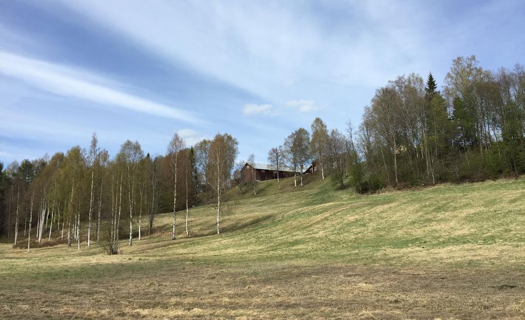 Mer information om riksintressen Boverket och länsstyrelsen i Västerbotten erbjuder ytterligare information om riksintressen, hur de avgränsas och vilka värden som legat till grund för att de pekats