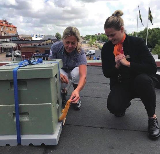 2018 dubblades insatsen och Kalmars invånare plockade skräp vid två tillfällen.