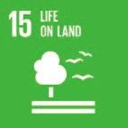 arbetsmarknaden, och klimatförändringar. Under året har McDonald s hållbarhetsambitioner på global nivå skruvats upp ytterligare.