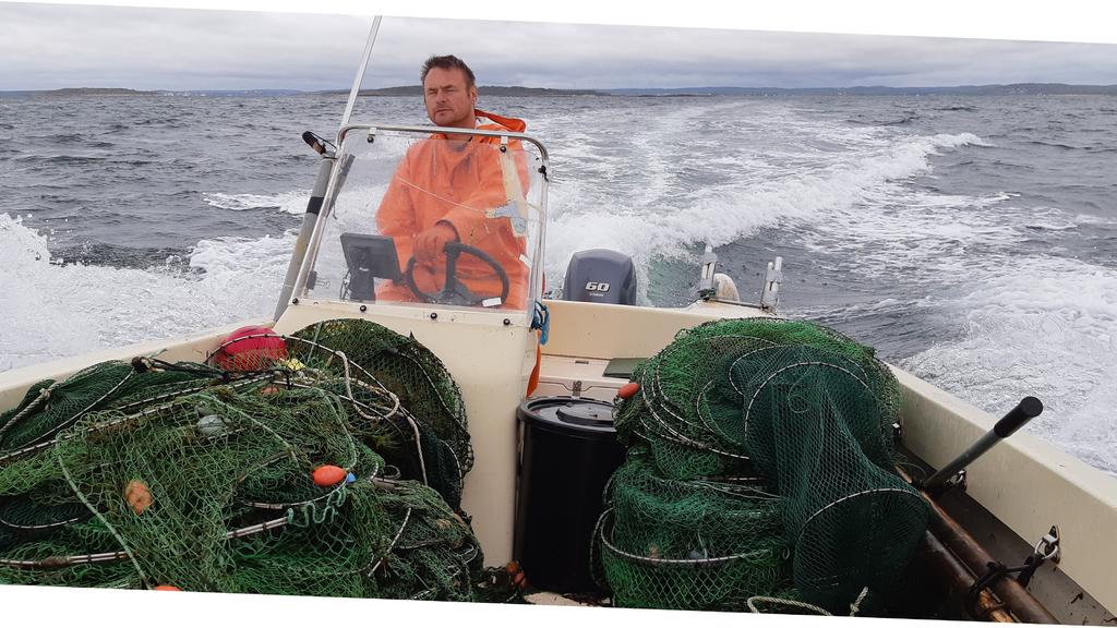 Biologisk recipientkontroll vid Ringhals kärnkraftverk Årsrapport