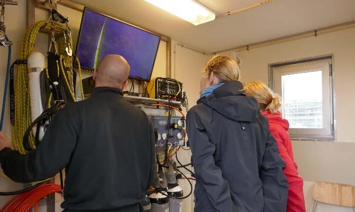 I svallbassängen T2 lades tre dyktransekter ut i olika delar av schaktet, och i den mellersta transekten samlades prover in på bestämda djup.