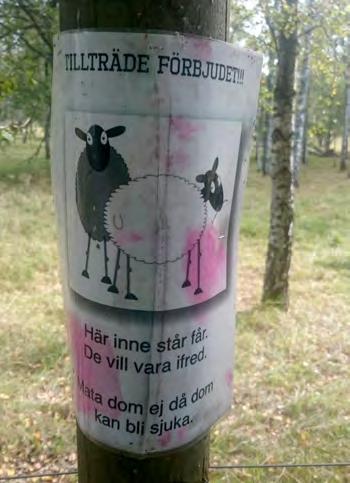gångvägen ligger Kräppladalen.