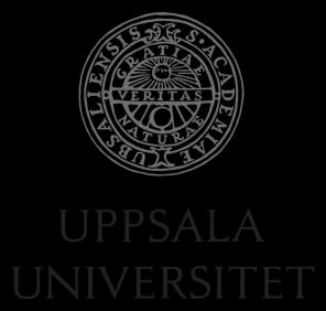 Företagsekonomiska institutionen Kandidatuppsats Handledare: Per Forsberg Datum: 16 januari, HT 2012 Monkey Strategy Swinging through the Capital Anomaly Jungle Carl Arvidsson Tim Gudrais Abstract