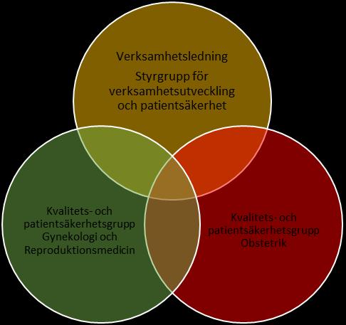 Figur 3 Kvinnosjukvårdens organisation för patientsäkerhet Kvalitets- och patientsäkerhetsgrupp: Verksamhetsutvecklare Patientsäkerhetsansvarig läkare Linjechef, medicinskt ledningsansvarig och völ