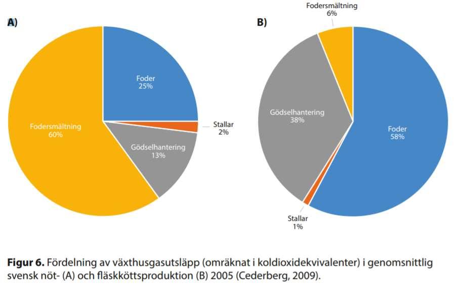 Svensk nötköttsproduktion