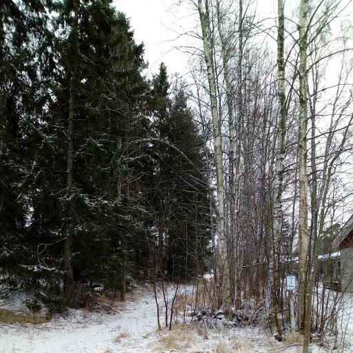 Hangö stad, kommunteknik söker om tillstånd för miljöåtgärder för fällning av träd. Grönområdenas täta trädbestånd, främst granbestånd, gallras intill bostadstomterna.