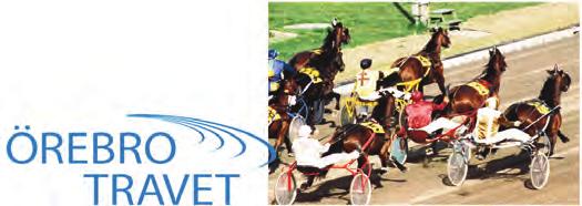 e Juliano Star - 14: 1 1-0-0 16, 90 700 Samba Tim e Alf Palema Uppf: Nilsson Per, Fjugesta 1 Äg: RODI AB, Fjugesta Guld, svart lodrätt fält; Svart Malmqvist Jenny (Jansson Josefine) a MAJA MAJA 19,0
