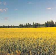 11 17, Påskförberedelser på Kurala Bybacke, Åbo Måndag 15.4 kl. 17.30 20, Meningen med måltiden? Fullmäktigesalen, Pargas. Aterian tarkoitus?