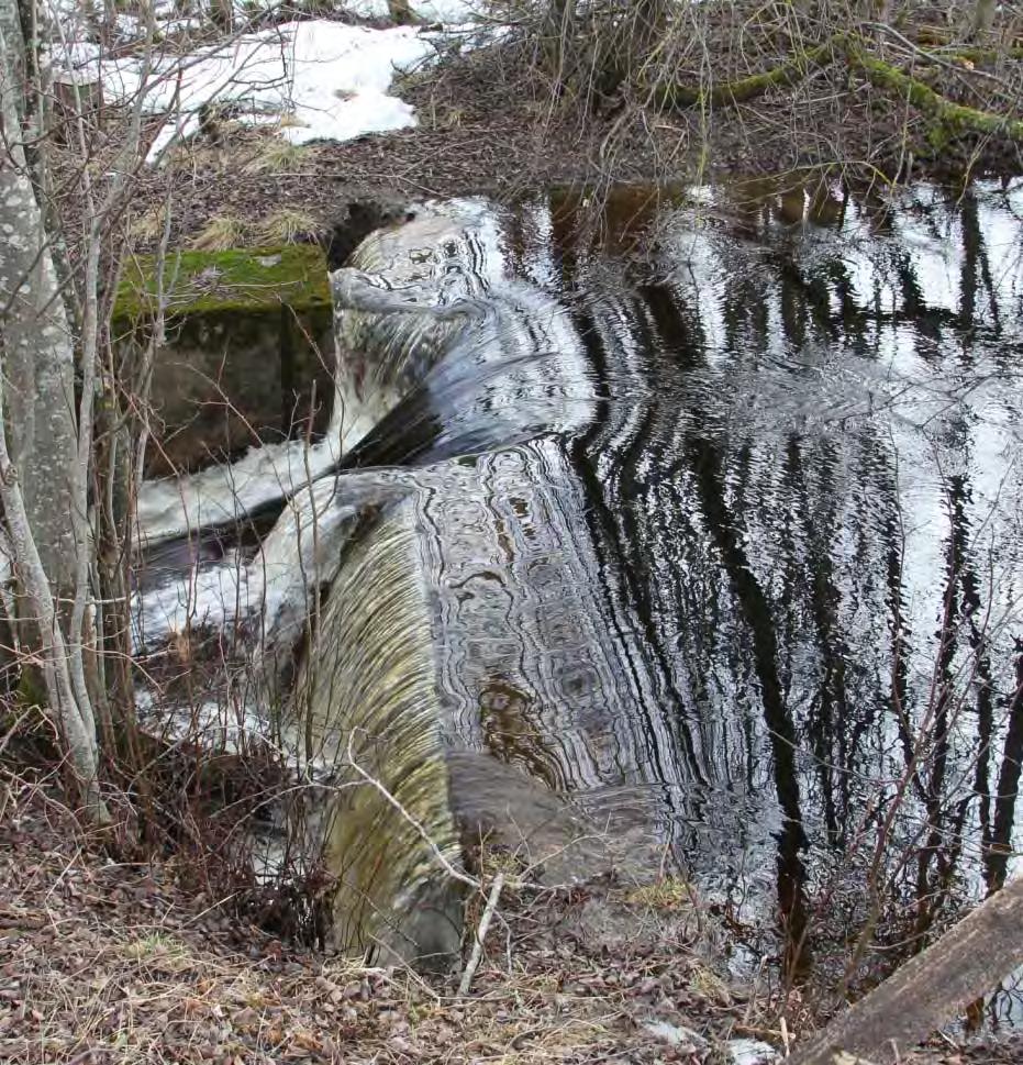Dalälven Vattenkemi, växtplankton