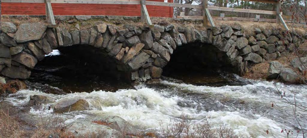 Exempel på långsiktiga förändringar I det digra material som samlats in av DVVF sedan 1990 syns trender och mönster som inte har direkt koppling till aktuella utsläpp, men som kan vara av värde för