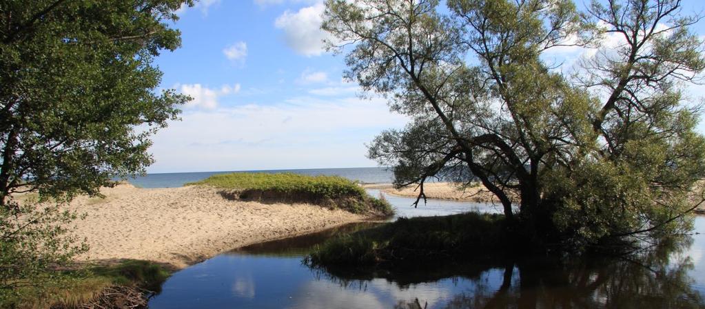 Du börjar vandringen i Skillinge och följer det blånande havet, längs vita sandstränder och ört rika strandängar. Du passerar små fiskelägen och Österlens berömda äppelodlingar.